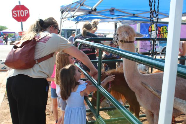 Mingle on Main Street Block Party