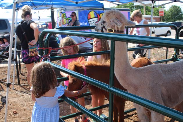 Sarah Jones, 5, Tyler Jones, 7, and Madi Jones, 8, all of Shawnee, pet the miniature horse, as an alpaca looks on, during the Mingle on Main Street Block Party on June 8. A &amp; K Farms of Chandler also brought a Highland bull, a sheep, a bunny, two goats and three Silky chickens. Countywide &amp; Sun/Natasha Dunagan