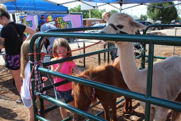 Mingle on Main Street Block Party