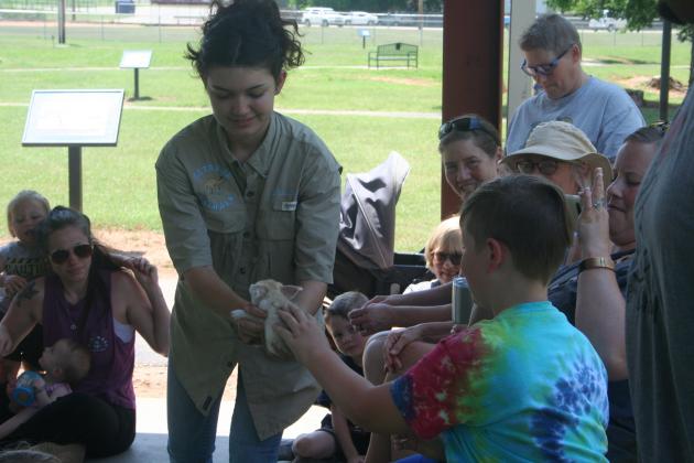 Extreme Animals at Tecumseh Library Summer Program