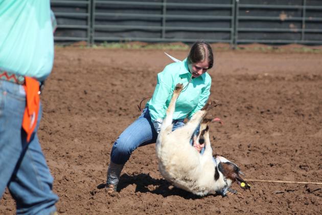 Avery Dockrey of Shawnee competes in the Goat Tying event of the International Finals Youth Rodeo on the morning of July 10. Countywide &amp; Sun/Natasha Dunagan
