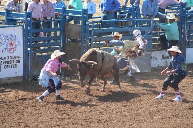IFYR 2023