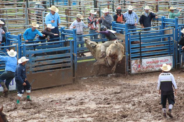 The bull ridden by Brayden Dowdle of McLoud decides to stay in the chute during the International Finals Youth Rodeo on the morning of July 11. Held at the Heart of Oklahoma Expo Center, the rodeo continues through Friday. Countywide &amp; Sun/Natasha Dunagan
