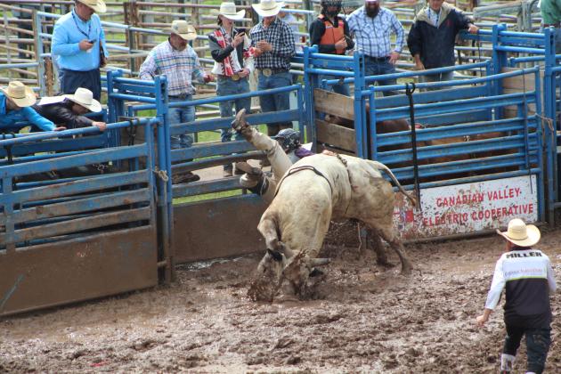 The bull ridden by Brayden Dowdle of McLoud dumps his rider in the mud during the International Finals Youth Rodeo on the morning of July 11. Held at the Heart of Oklahoma Expo Center, the rodeo continues through Friday. Countywide &amp; Sun/Natasha Dunagan
