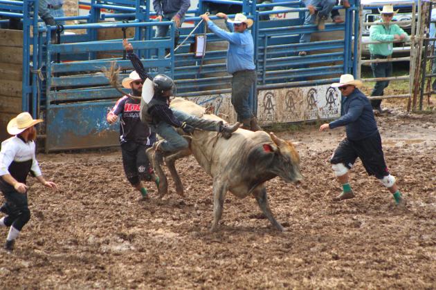 Jace Hensley of Paola, KS, dismounts from his bull and into the mud during the International Finals Youth Rodeo on the morning of July 11. Countywide &amp; Sun/Natasha Dunagan