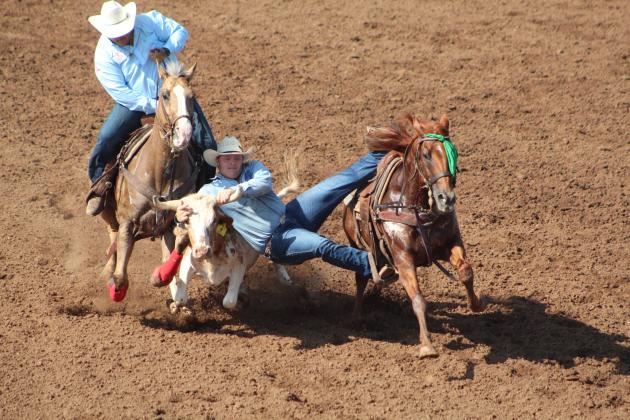 IFYR 2023