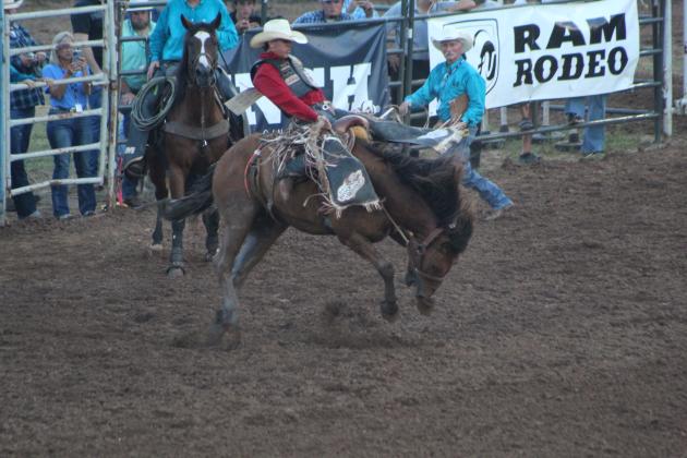IFYR 2023