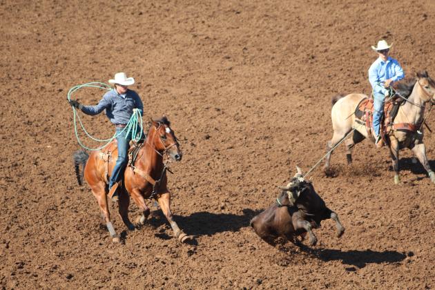 Braxton Ogle of McLoud, left, attempts to rope a steer's back legs out of the mud, as Jim Watkins of Bristow, OK, holds his head in the Team Roping event of the IFYR on the morning of July 10. Countywide &amp; Sun/Natasha Dunagan