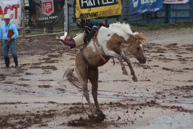 Collin Roland of Childersburg, AL, hangs on as he competes in the Bareback Bronc event of the International Finals Youth Rodeo on the morning of July 11. Countywide &amp; Sun/Natasha Dunagan