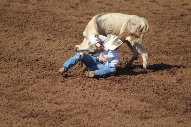 IFYR 2023