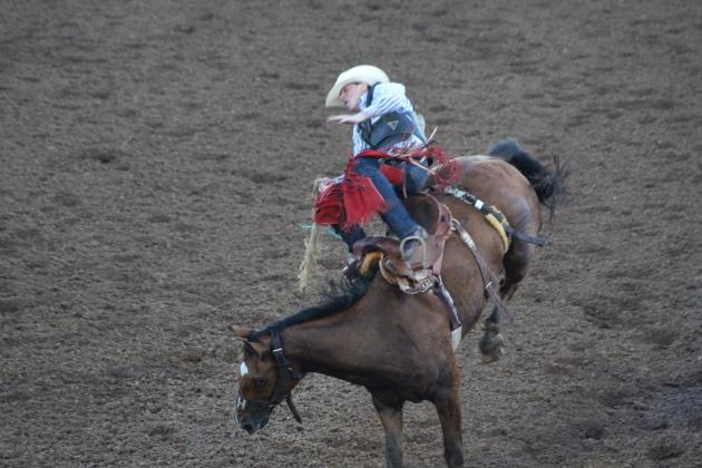 IFYR 2023