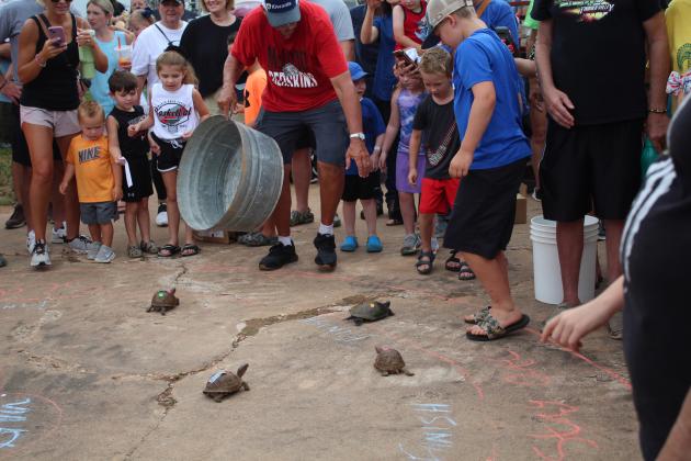 Kids watch in suspense as one turtle race comes to an end, and Kiwanis volunteer Brad Mauldin (with the metal tub) determines the winner during the McLoud Blackberry Festival on July 8. They also had sack races, balloon toss, money in the hay and a duck pond for kids. Countywide &amp; Sun/Natasha Dunagan
