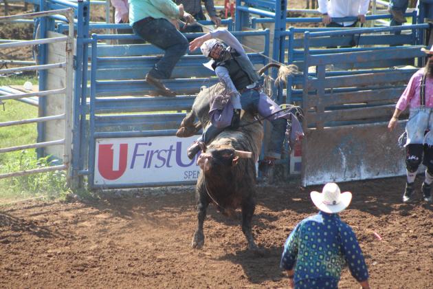 Conner Ray of Ardmore, OK, competes in the second round of Bull Riding at the IFYR on July 13. Countywide &amp; Sun/Natasha Dunagan