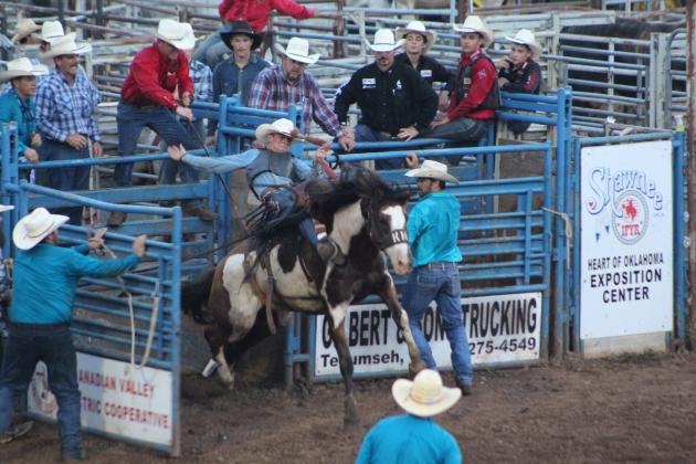 Connor Brumley of Mocksville, NC, busts out of the stall in the Saddle Bronc final round of the IFYR on July 14. Countywide &amp; Sun/Natasha Dunagan