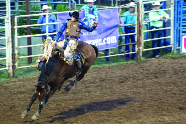 Jasper Frost, of Browns Valley, CA, competes in the second round of the Saddle Bronc event at the IFYR on July 14. Frost won the event with a combined score of 232 for three rides. Countywide &amp; Sun/Natasha Dunagan