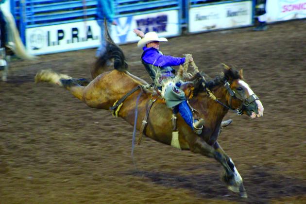 Wyatt Lavergne of Sulphur, LA, hangs on during the second round of saddle bronc action at the IFYR on July 14. Countywide &amp; Sun/Natasha Dunagan