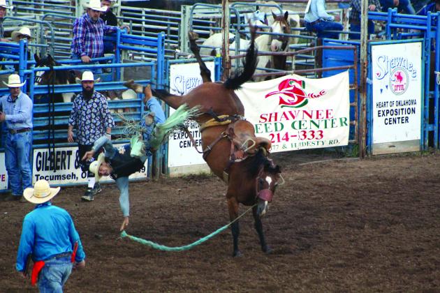 Parker Matthews of Joplin, MO, looks for a soft landing as he flies off of his saddle bronc during second-round action at the IFYR on July 14. Countywide &amp; Sun/Natasha Dunagan