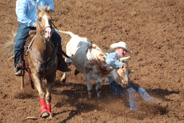 Hadley Jones of Lumberton, MS, sends dirt flying as he competes in the Steer Wrestling second round of the IFYR on July 13. Countywide &amp; Sun/Natasha Dunagan