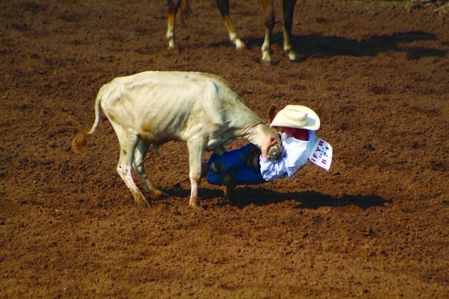 Ethan Sparks of Atoka, OK, uses his whole body to try and bring down a steer during the second round of steer wrestling at the IFYR on July 13. Countywide &amp; Sun/Natasha Dunagan
