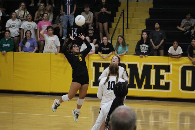 Lady Savages Libero Kayloni Cruz volleys the ball during Tecumseh's third game with Blanchard on Aug. 24. Countywide &amp; Sun/Natasha Dunagan