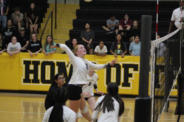 Tecumseh's Channing Goodson keeps her eye on the ball before attacking during the Lady Savages' third game with Blanchard on Aug. 24. Tecumseh lost, 0-3. Countywide &amp; Sun/Natasha Dunagan