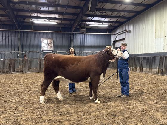 Taylor Marrs, of Tecumseh FFA, poses with his Reserve Supreme Grand Champion Heifer during the Beef Show of the Pottawatomie County Free Fair on Sept. 8. Also shown is Livestock Judge Eva Hinrichsen. Photo provided by Fair Manager Amy Hasbell.