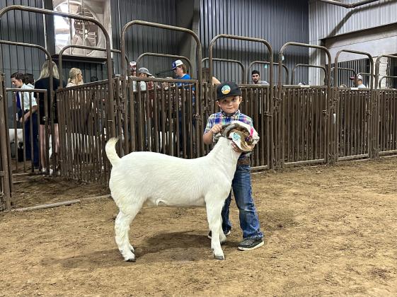 Kais Goggin, 3, of Bethel, poses with his Grand Champion Open Meat Doe Goat during the Pottawatomie County Free Fair on Sept. 9. Photo provided by Amy Hasbell.