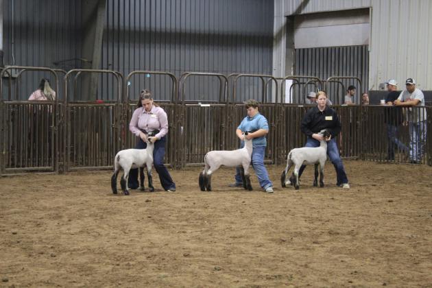 Baylee Foster, Hardy Robinson and Kinsley Foster, all of Dale, show their Class 1 Ewes at the Pottawatomie County Free Fair on Sept. 9. Countywide &amp; Sun/Natasha Dunagan