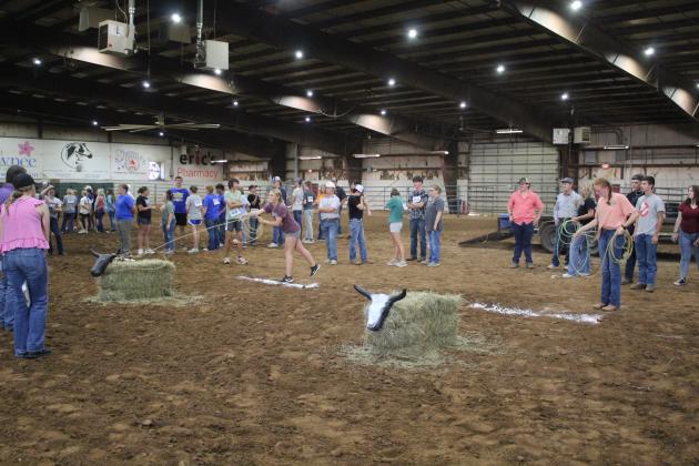 Farmhand Olympics