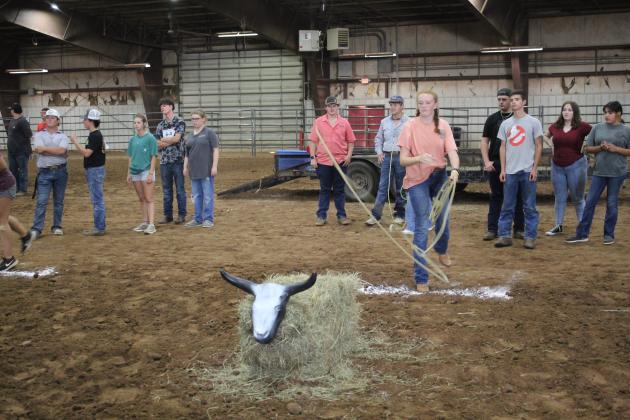 Farmhand Olympics