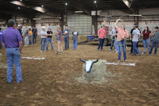Farmhand Olympics