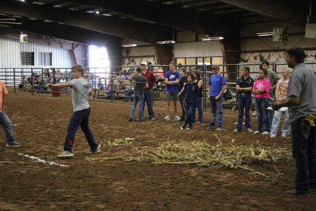 Farmhand Olympics