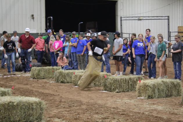 Farmhand Olympics