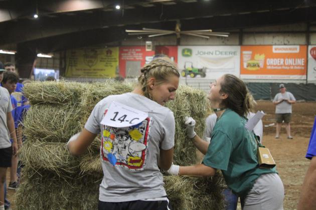 Farmhand Olympics