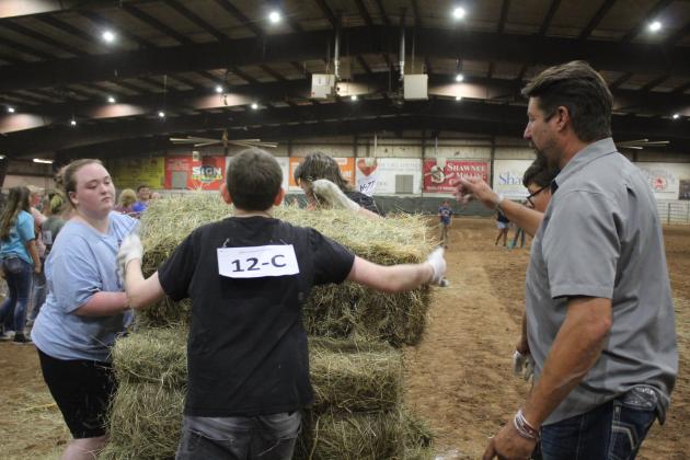 Farmhand Olympics