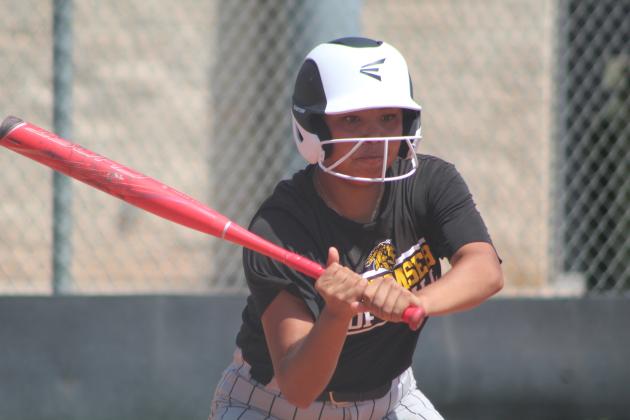 Dale-Tecumseh Tournament