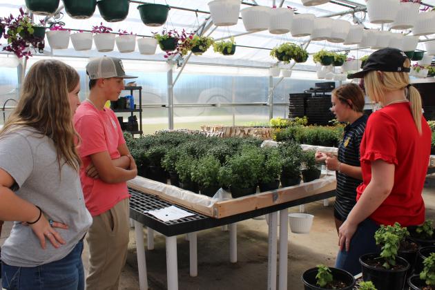 McLoud FFA Plant Sale