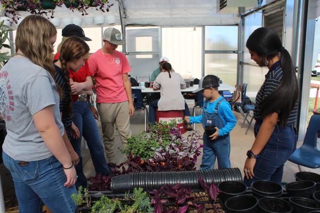 McLoud FFA Plant Sale