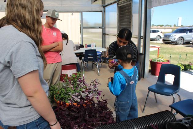 McLoud FFA Plant Sale