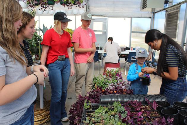 McLoud FFA Plant Sale