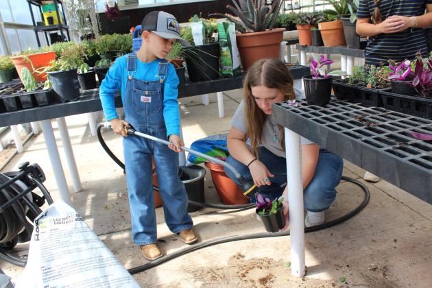 McLoud FFA Plant Sale