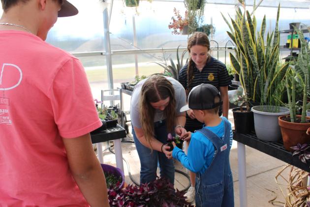 McLoud FFA Plant Sale