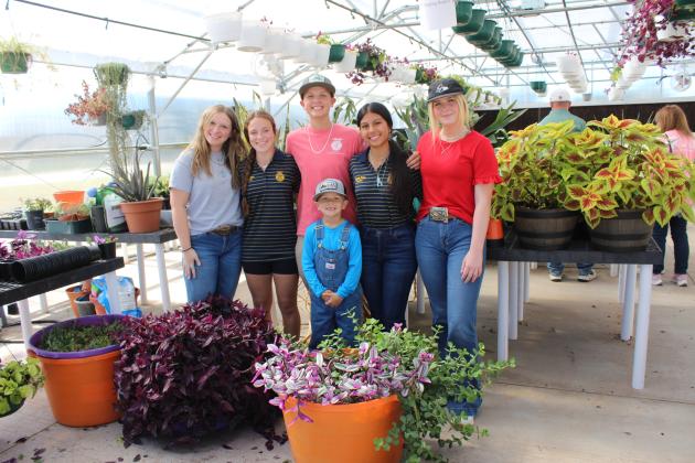 McLoud FFA Plant Sale