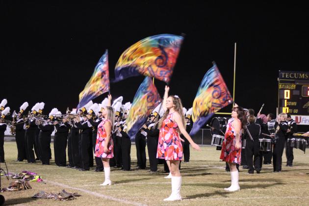 The Tecumseh Savage Pride Marching Band and Color Guard perform Beatles songs during halftime of the home game on Oct. 20. Countywide &amp; Sun/Natasha Dunagan