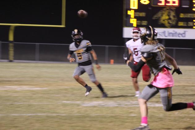 Tecumseh vs. Tuttle - Pink Out Game