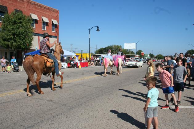 Frontier Days Parade 2023