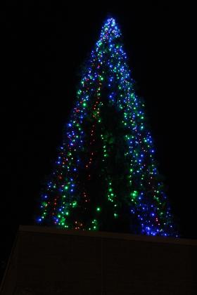 Shawnee Tree Lighting Ceremony