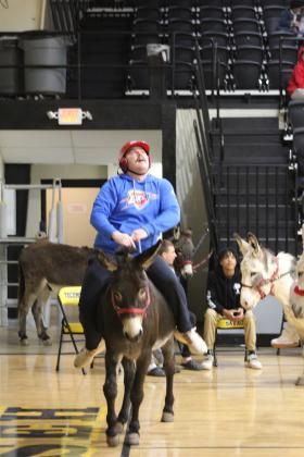 Donkey Basketball
