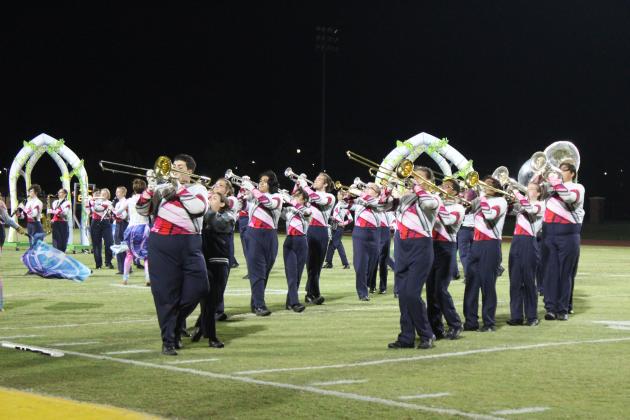 Pride of the Pack