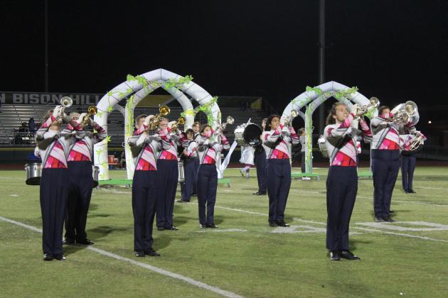 Pride of the Pack